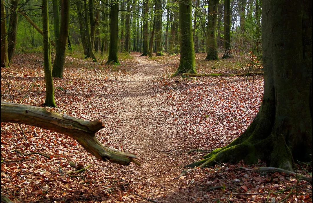 De Hiddinghhoeve-1
